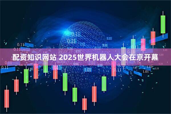 配资知识网站 2025世界机器人大会在京开幕